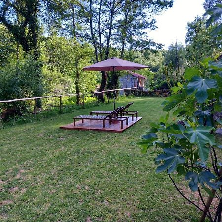 Villa Quinta Das Bollotas à Fafe Extérieur photo