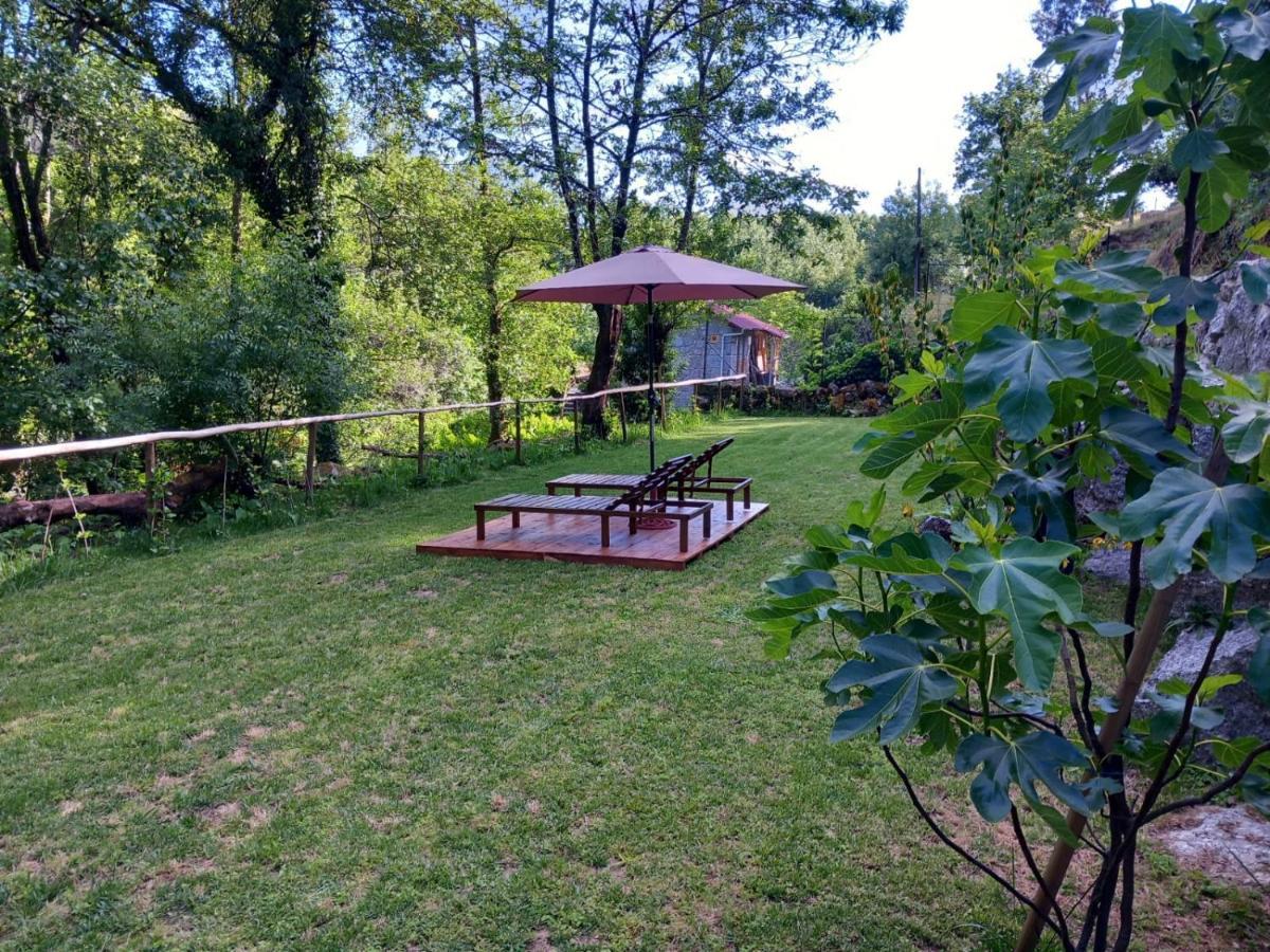 Villa Quinta Das Bollotas à Fafe Extérieur photo